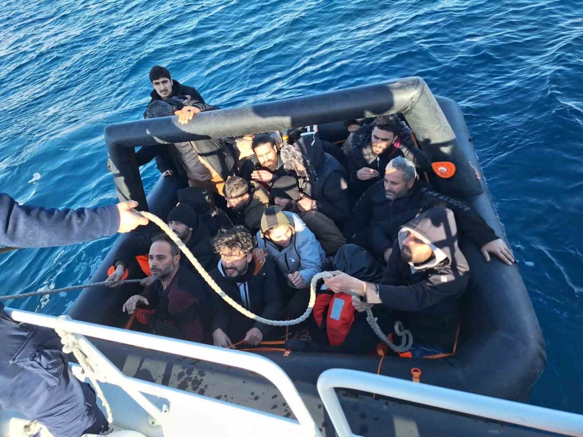 İzmir sularında göçmen hareketliliği
